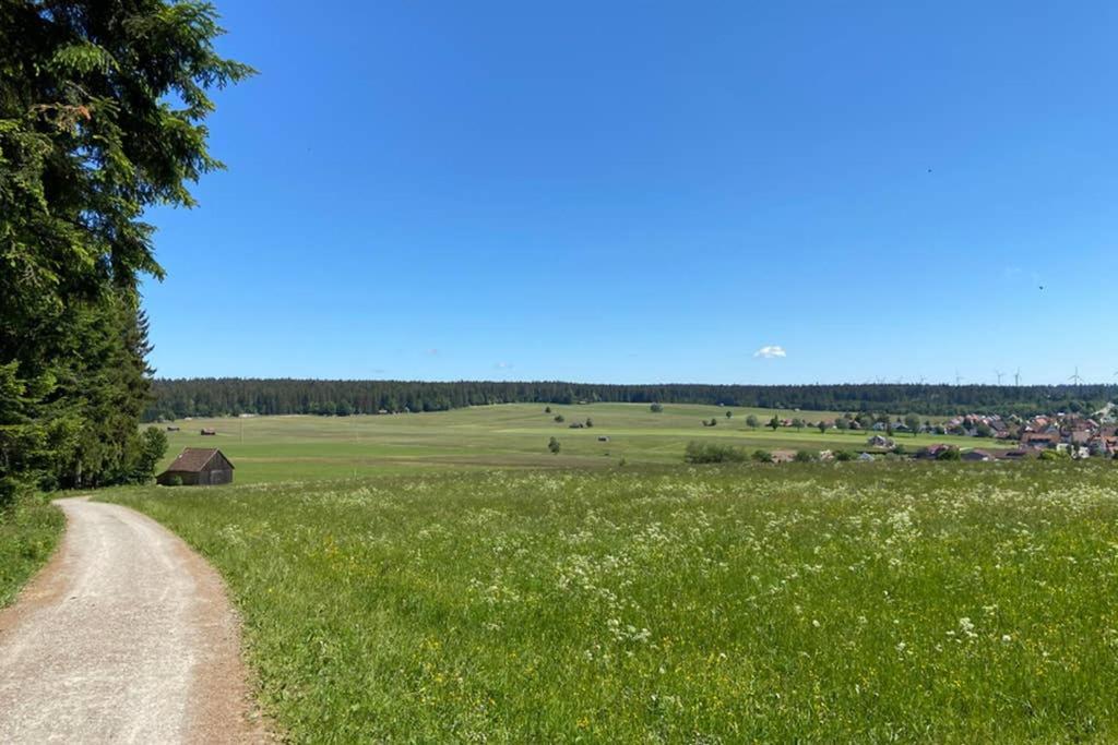 Ferienwohnung im Schwarzwald Oberwiesenhof Seewald Exterior foto